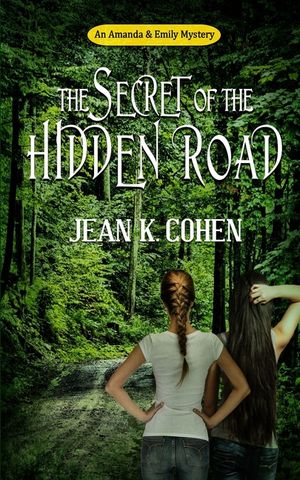 The Secret of the Hidden Road: An Amanda & Emily Mystery image number 0