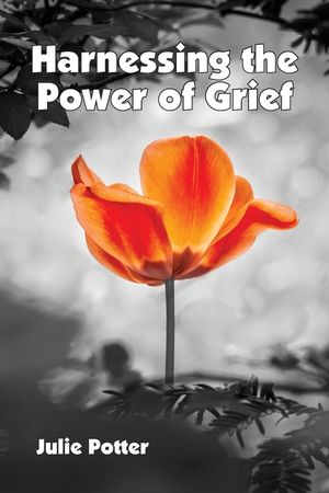 Harnessing the Power of Grief image number 0