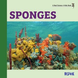 Sponges image number 0