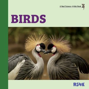 Birds image number 0