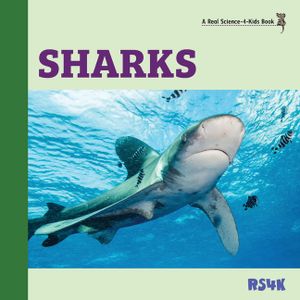 Sharks image number 0