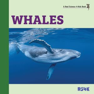 Whales image number 0