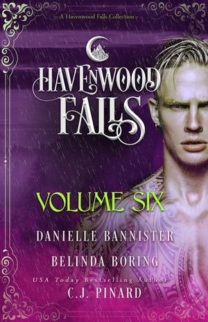 Havenwood Falls Volume Six: A Havenwood Falls Collection image number 0