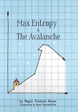 Max Entropy & The Avalanche image number 0