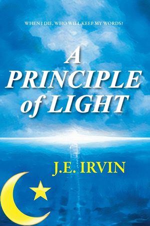 A Principle of Light image number 0