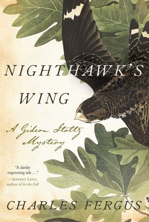 Nighthawk's Wing: A Gideon Stoltz Mystery image number 0