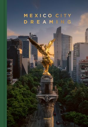 Mexico City in Focus image number 0