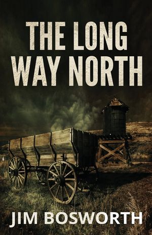The Long Way North image number 0