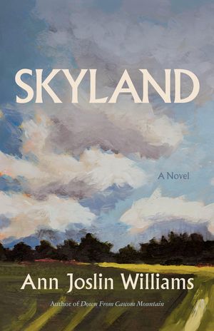 Skyland image number 0