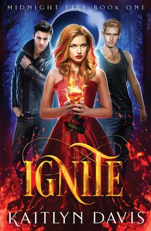 Ignite image number 0