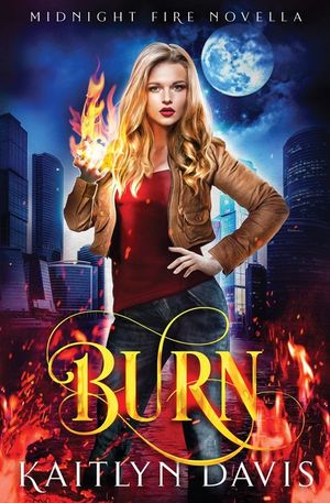 Burn image number 0