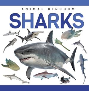 Sharks image number 0