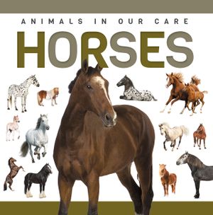 Horses image number 0
