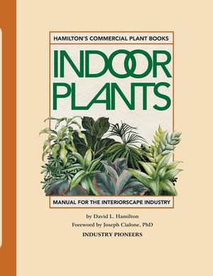 Hamilton's Commercial Indoor Plants: Water-Wise for Plant Longevity image number 0