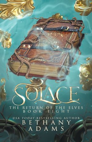 Solace image number 0