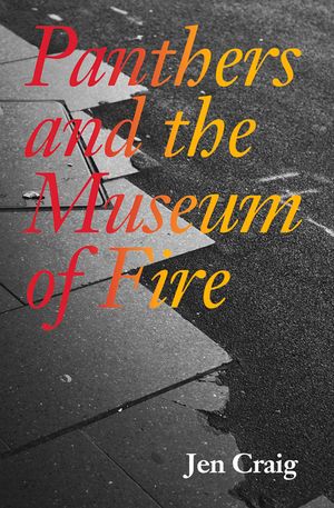 Panthers and the Museum of Fire image number 0