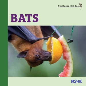 Bats image number 0