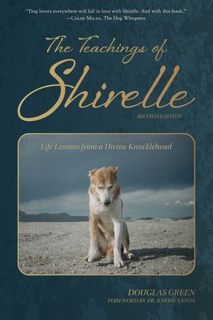 The Teachings of Shirelle image number 0
