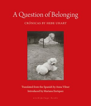 A Question of Belonging: Stories image number 0