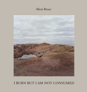 I Burn But Am Not Consumed: Menie, a Portrait of a Scottish Coastal Community in Conflict image number 0