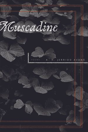 Muscadine image number 0