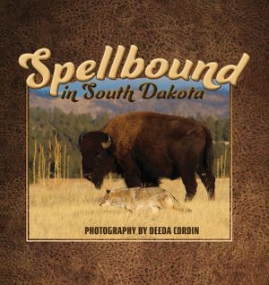 Spellbound in South Dakota image number 0