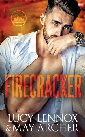 Firecracker image number 0