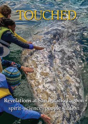 Touched / Tocado: Revelations at San Ignacio Lagoon: Spirit, Science, People, Politics image number 0