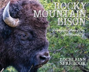 Rocky Mountain Bison: A Photographic Collection of Bison of the American West image number 0