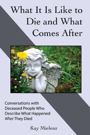 What It Is Like to Die and What Comes After: Conversations with Deceased People Who Describe What Happened After They Died image number 0