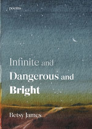 Infinite and Dangerous and Bright: Poems image number 0