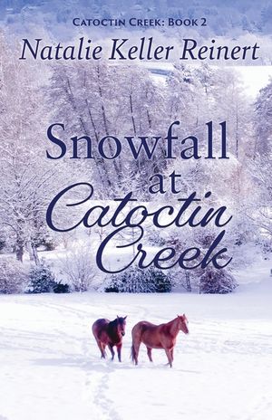 Snowfall at Catoctin Creek image number 0