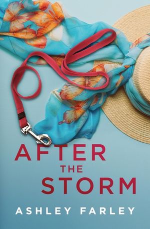After the Storm image number 0