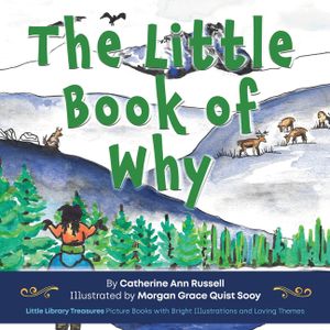 The Little Book of Why image number 0