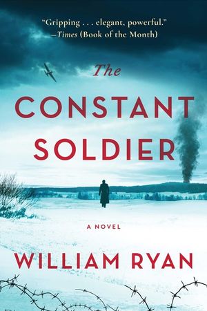 The Constant Soldier image number 0