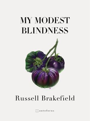 My Modest Blindness image number 0