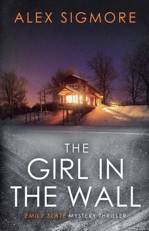 The Girl In The Wall image number 0