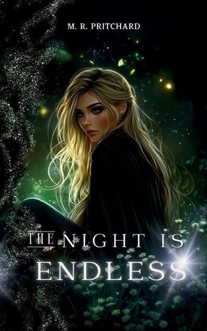 The Night is Endless image number 0