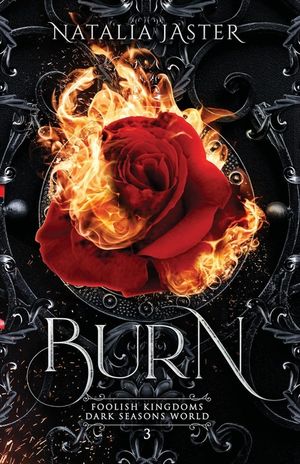 Burn image number 0