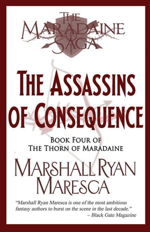 The Assassins of Consequence image number 0