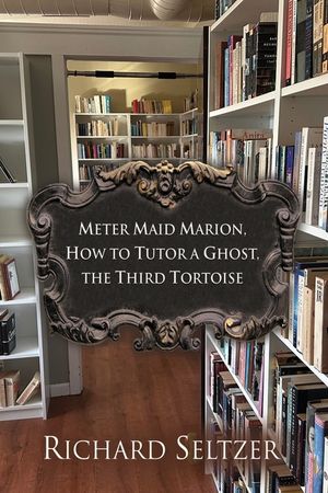 Meter Maid Marion, How to Tutor a Ghost, The Third Tortoise image number 0