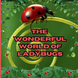The Wonderful World of Ladybugs: Interesting Facts About Ladybugs image number 0