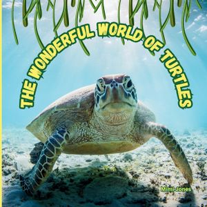 The Wonderful World of Turtles: Interesting Facts About Turtles image number 0