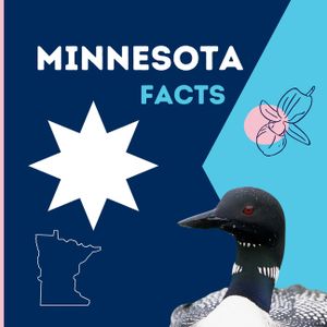 Minnesota Facts: Interesting Facts About Minnesota image number 0