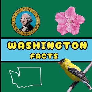 Washington Facts: Interesting Facts About Washington image number 0