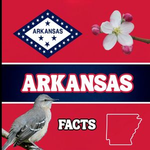 Arkansas Facts: Interesting Facts About Arkansas image number 0