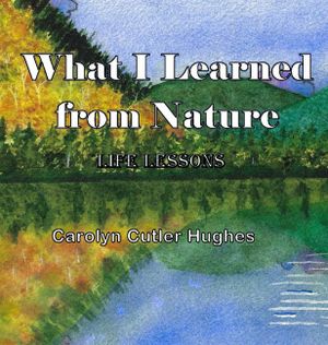 What I Learned From Nature image number 0