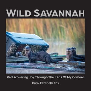 Wild Savannah: Rediscovering Joy Through The Lens of My Camera image number 0