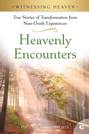 Heavenly Encounters image number 0