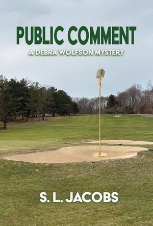 Public Comment image number 0